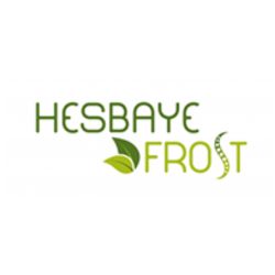 HESBAYE FROST-logo