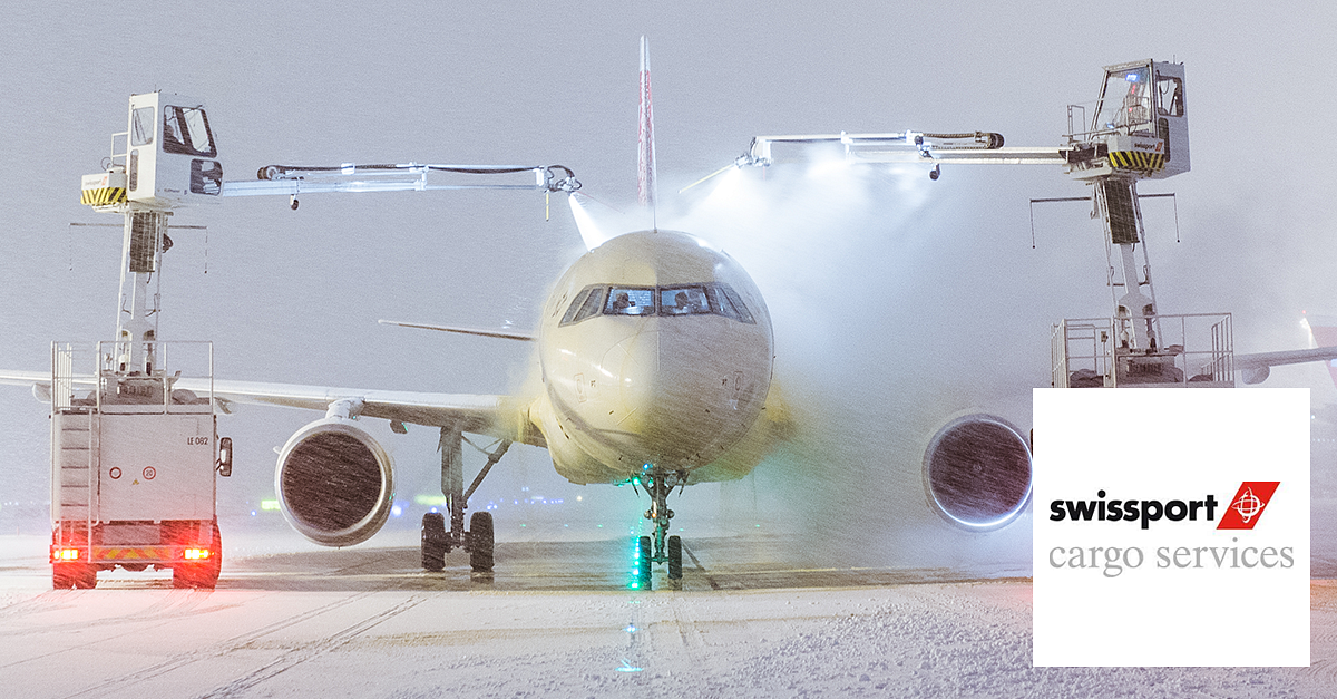 Synergie Swissport jobs