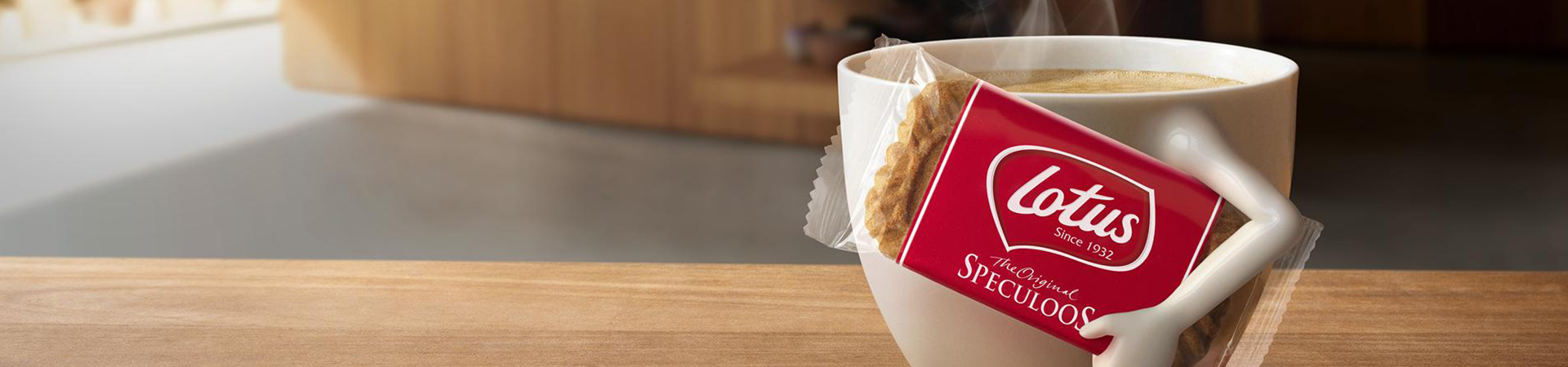 banner JOBDAG LOTUS