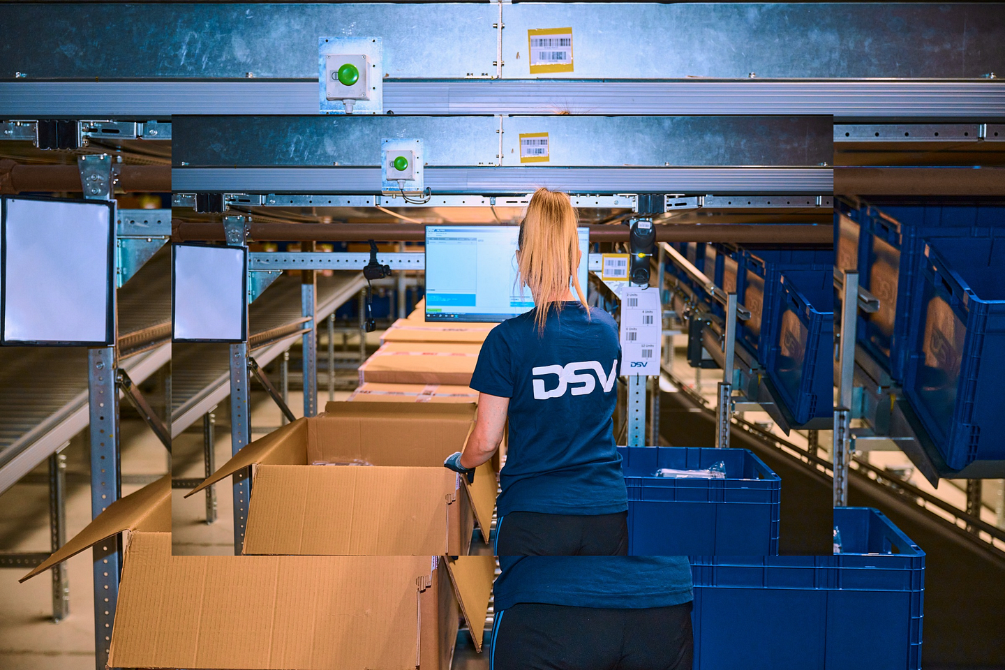 dsv