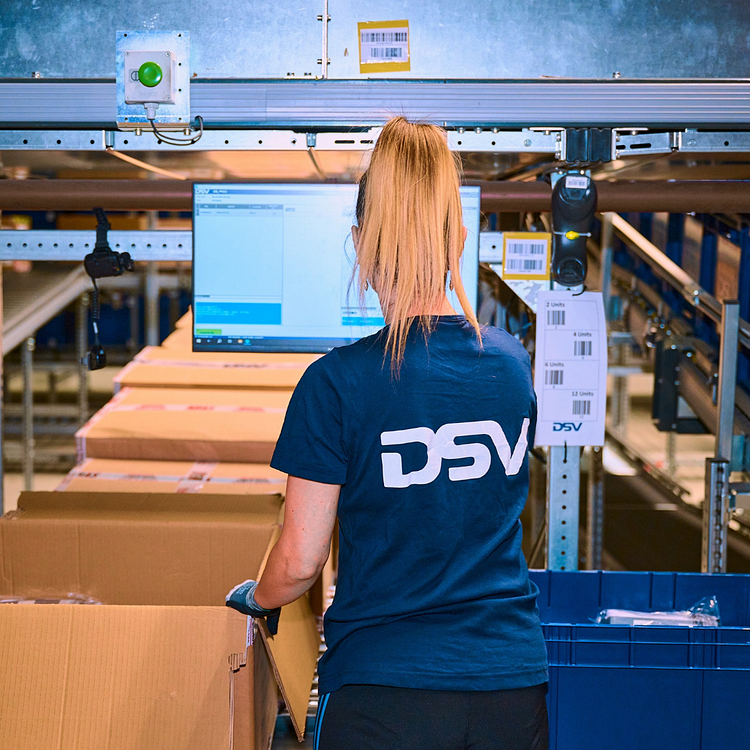 dsv